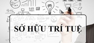 Quy định chức năng, nhiệm vụ của Bộ phận Sở hữu trí tuệ trực thuộc phòng KHCN&HTQT, tàixỉu online
